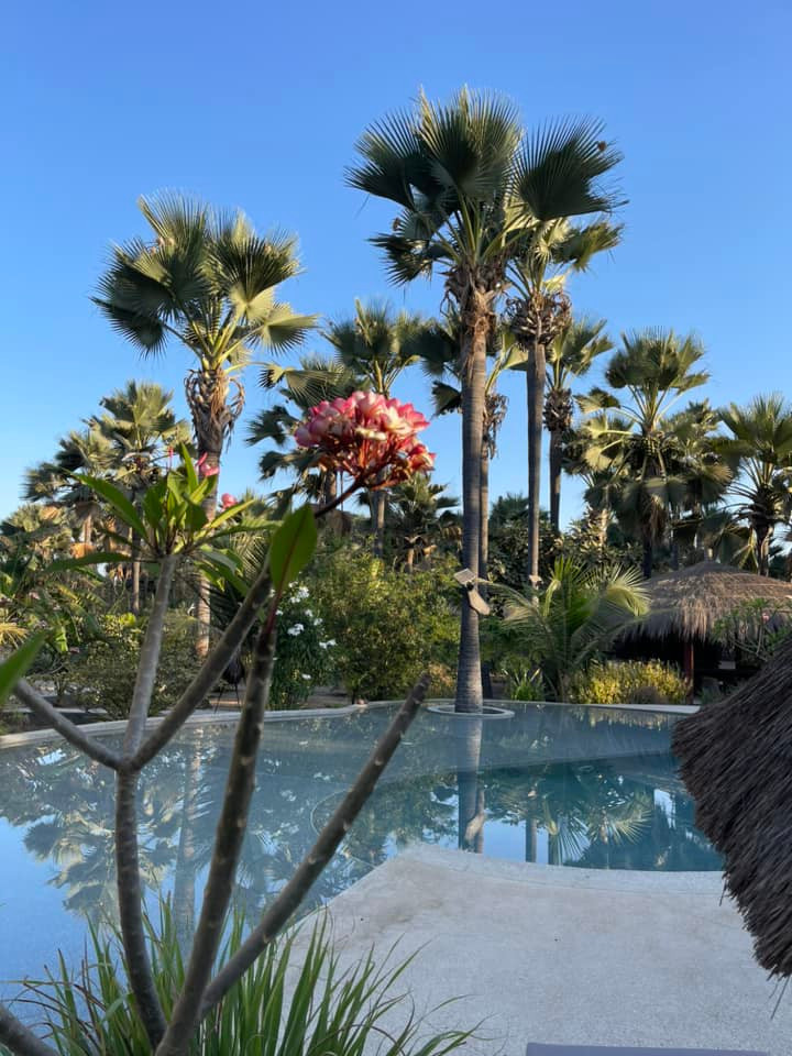 piscine la Palmeraie de Ngor - Hotel Sénégal