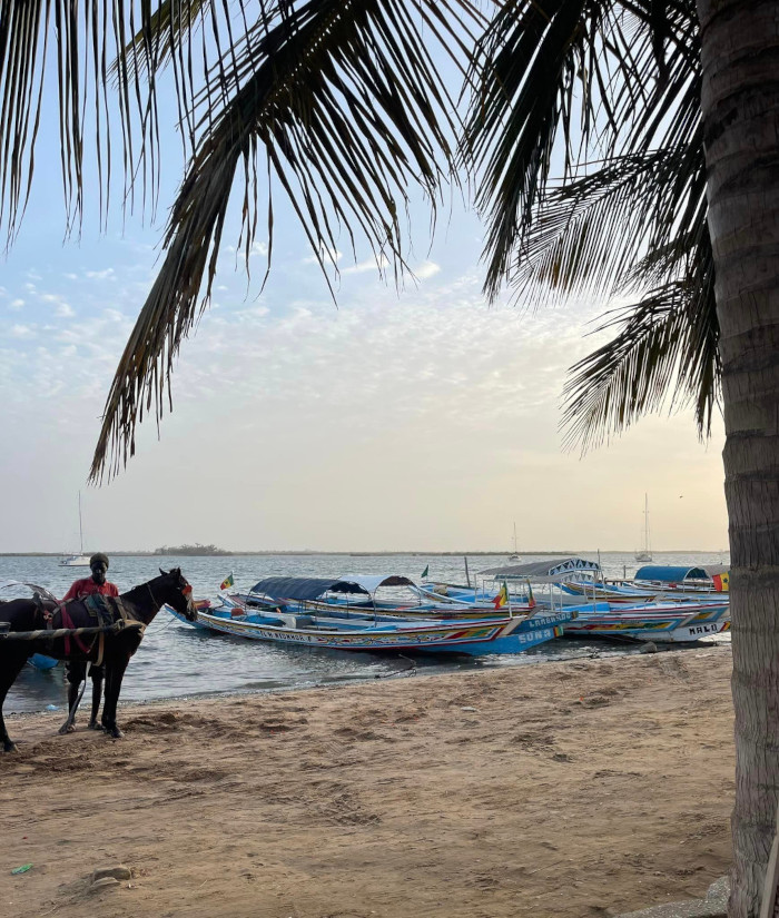 Activités la Palmeraie de Ngor - Hotel Sénégal