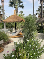 Piscine - la Palmeraie de Ngor - Hotel Sénégal