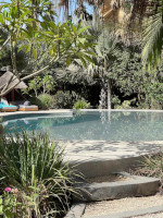 Piscine - la Palmeraie de Ngor - Hotel Sénégal