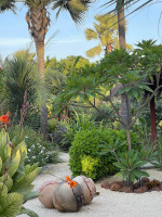 Jardin - la Palmeraie de Ngor - Hotel Sénégal