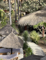 Bungalows - la Palmeraie de Ngor - Lodge Sénégal