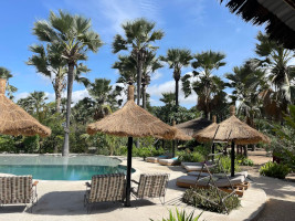 Terrasse - la Palmeraie de Ngor - Hotel Sénégal