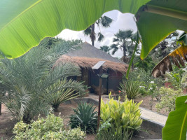 Bungalow - la Palmeraie de Ngor - Hotel Sénégal