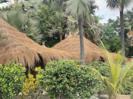 Bungalows - la Palmeraie de Ngor - Lodge Sénégal