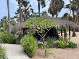 bar - la Palmeraie de Ngor - Hotel Yayeme