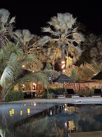 la Palmeraie de Ngor - Hotel Sénégal