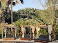 la Palmeraie de Ngor - Hotel Sénégal