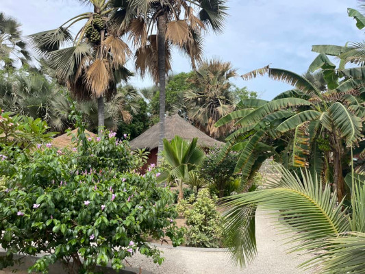 Bungalow - lodge la Palmeraie de Ngor - Sénégal