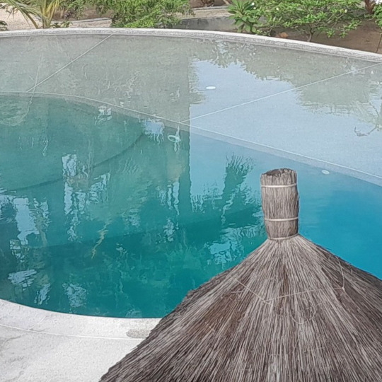 Piscine - la Palmeraie de Ngor